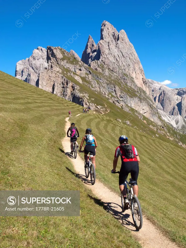 Three mountain bikers are riding a small single trail high in the mountains, with a rock cliff in the background .