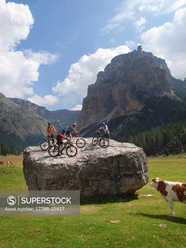 Witnessed by a cow, four mountain bikers are standing with their bikes on a big boulder in a mountain meadow in the Italian Dolomites.