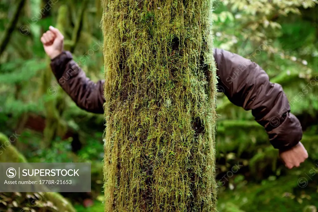 Mossy tree with a mans arms.