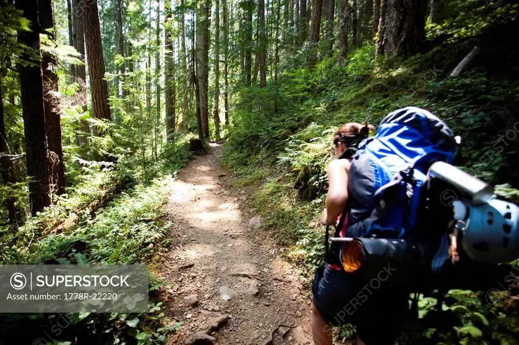 A young woman hikes with a large backpack through the dense forest after climbing a mountain.