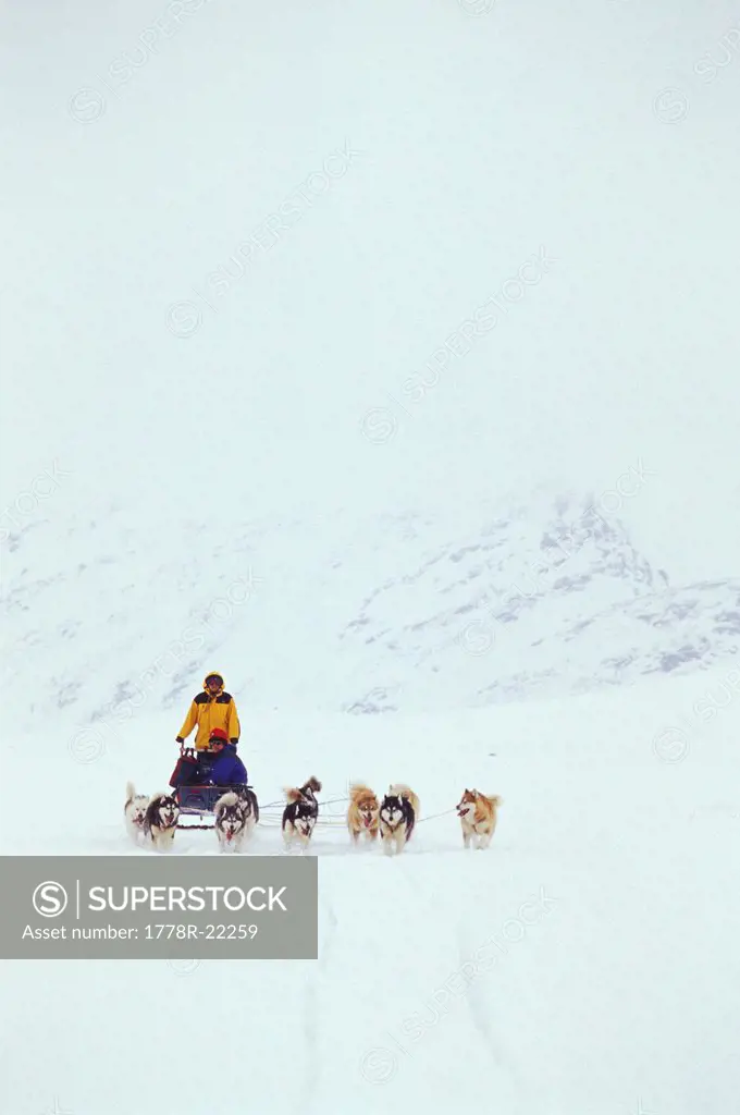 Dogsled team travels through snowstorm across Meta Incognita Penninsula, Baffin Island, Nunavut, Canada.