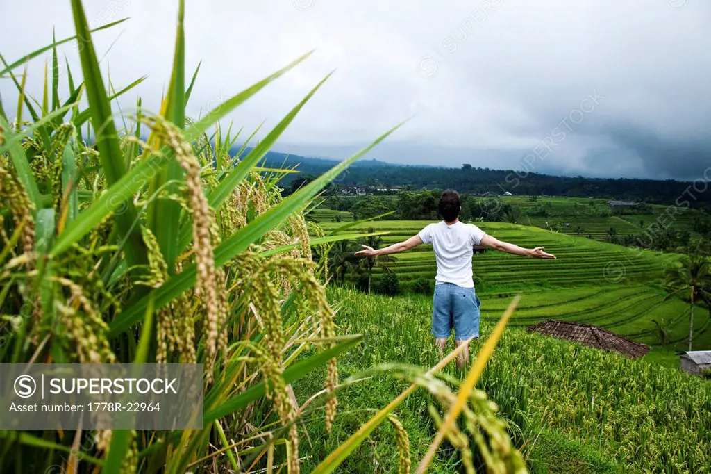 A man holding his arms open in a rice field in Bali, Indonesia.