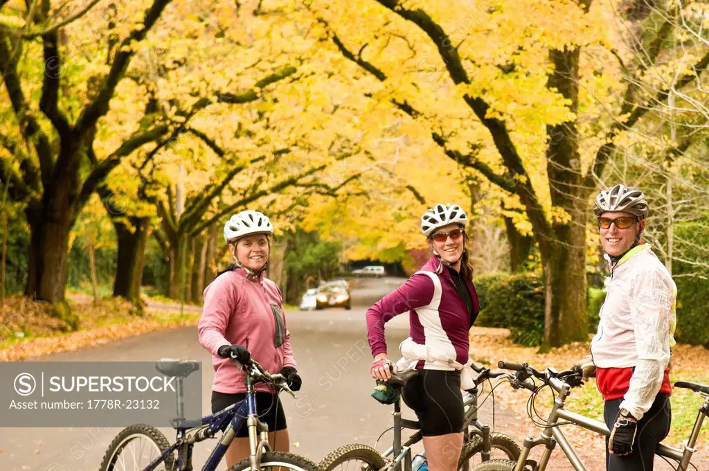 Three mountain bikers on a street with yellow cottonwood trees, Corte Madera, California.