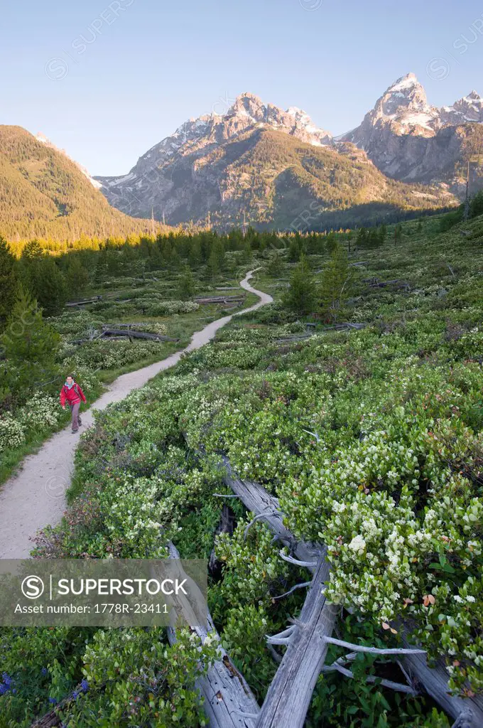 A young woman takes an early morning trail run in the Grand Teton National Park, Wyoming.