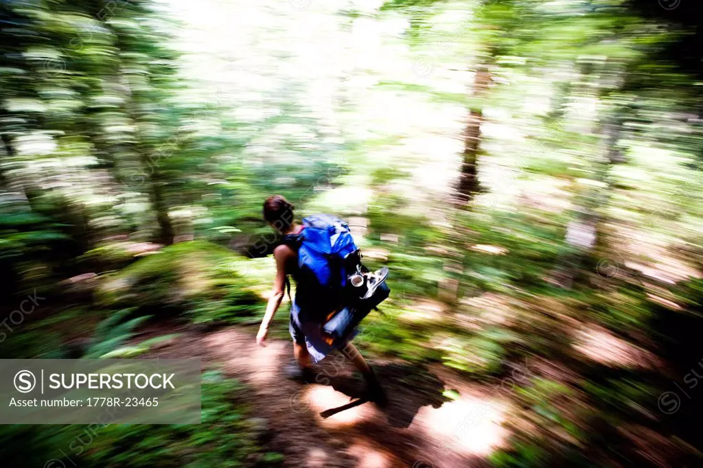 A young girl moves quickly along a trail through the thick forest after climbing a mountain.