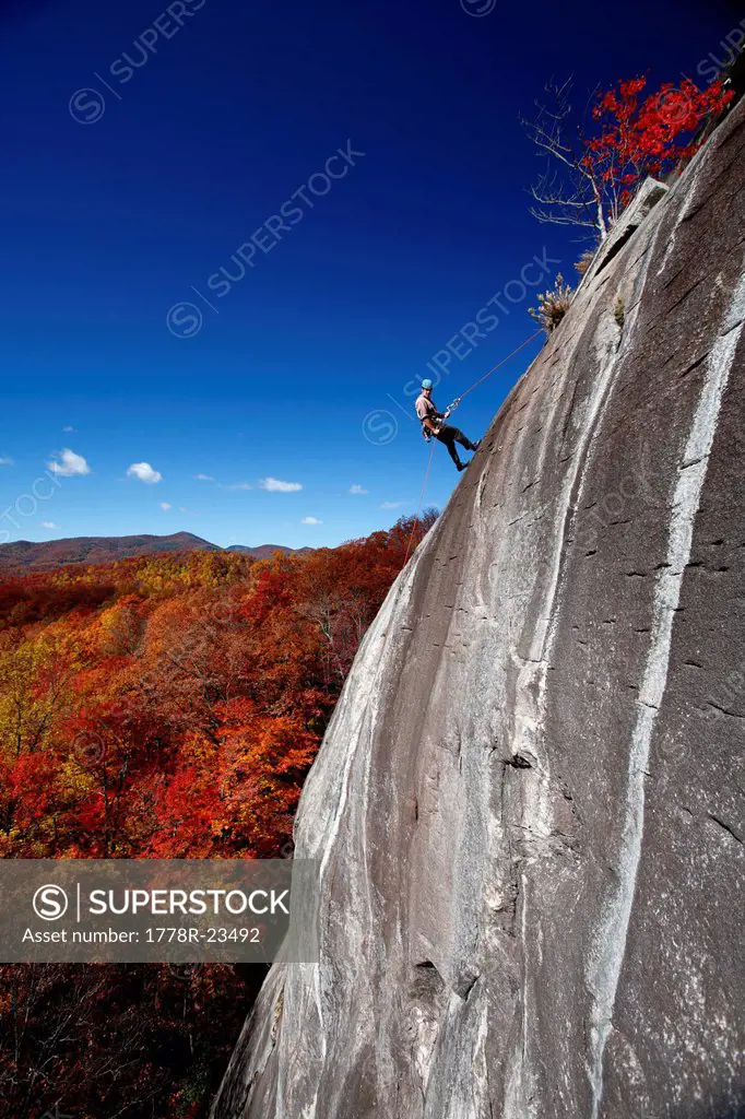 A man repelling descends a granite face surrounded by fall colors.