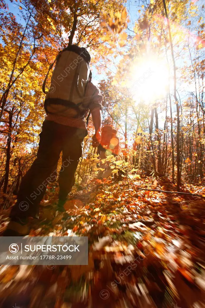 A blur motion image of hiker in an autumn forest in North Carolina.