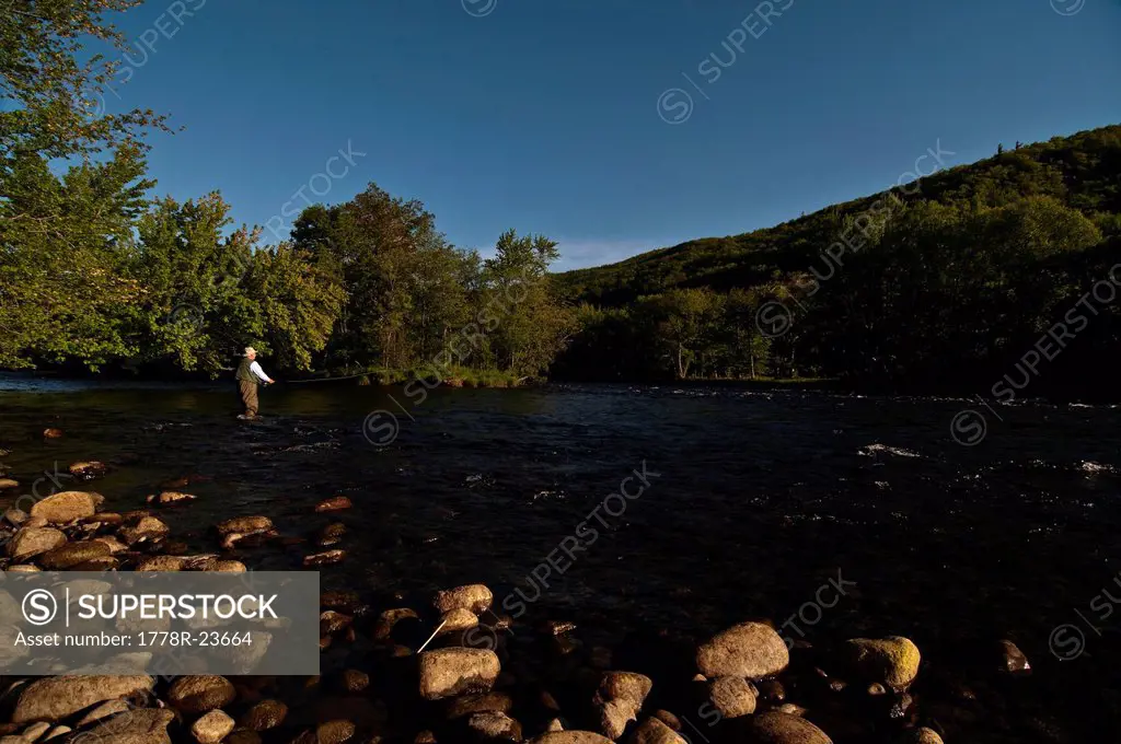 Grey_haired fly fisherman wading in a river.