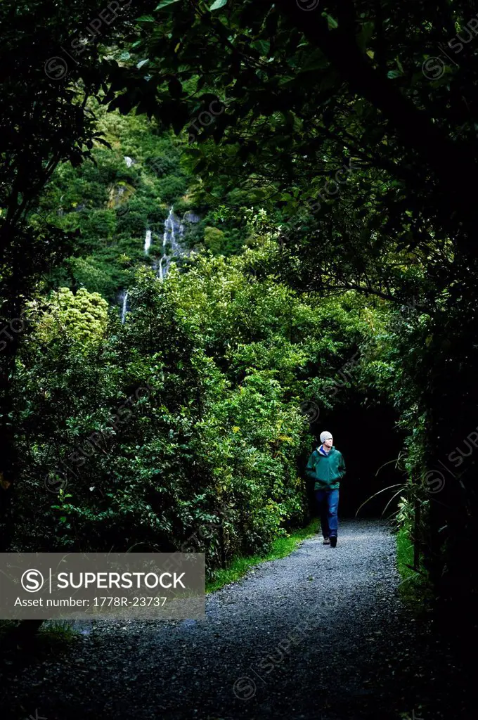 A young man walks along a wet trail in a raincoat in Franz Josef, New Zealand.