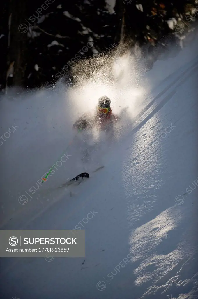 A backcountry skier is buried in billowing cloud of snow as he skis the trees of the Selkirk Mountains, Canada. backlight.