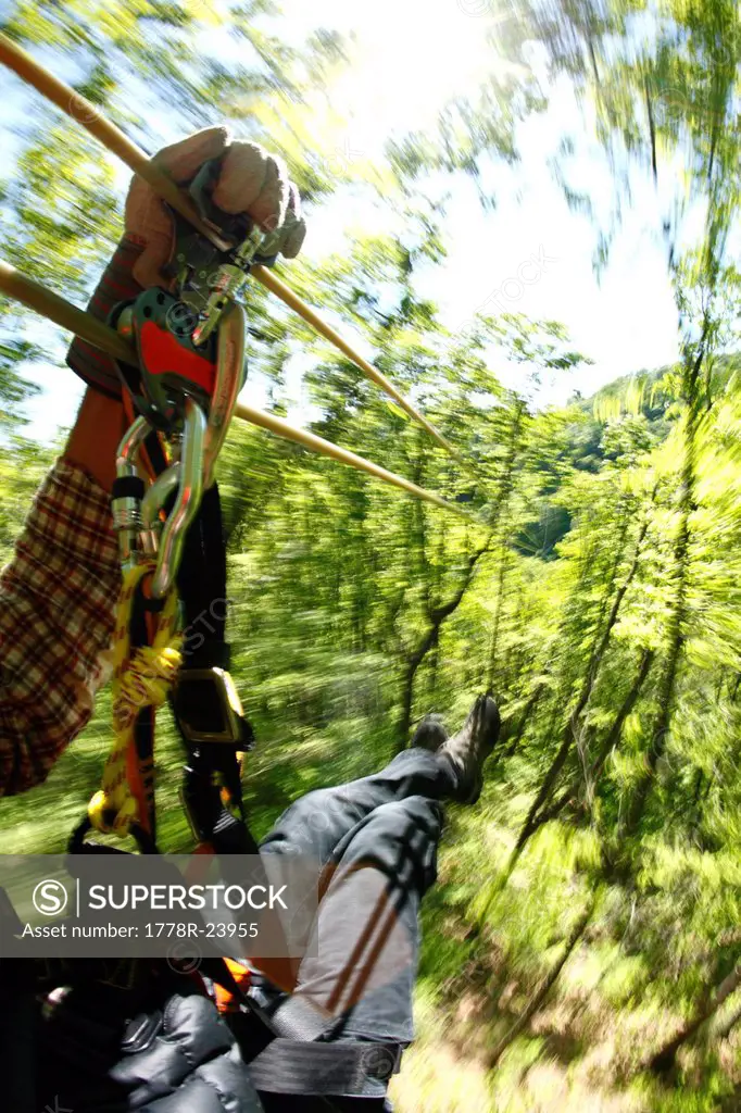 Shot of man on zipline at a forest canopy tour.