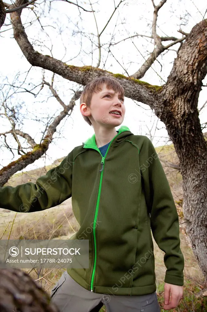 A young boy standing in a tree.