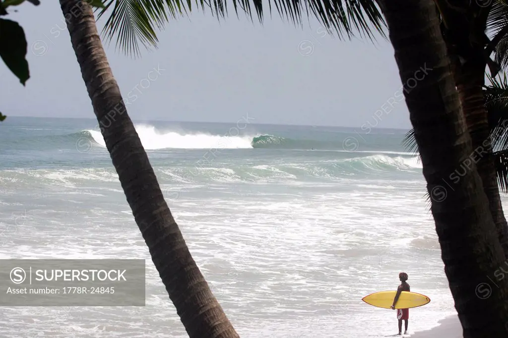 Surfer watching surf under palm trees in Costa Rica