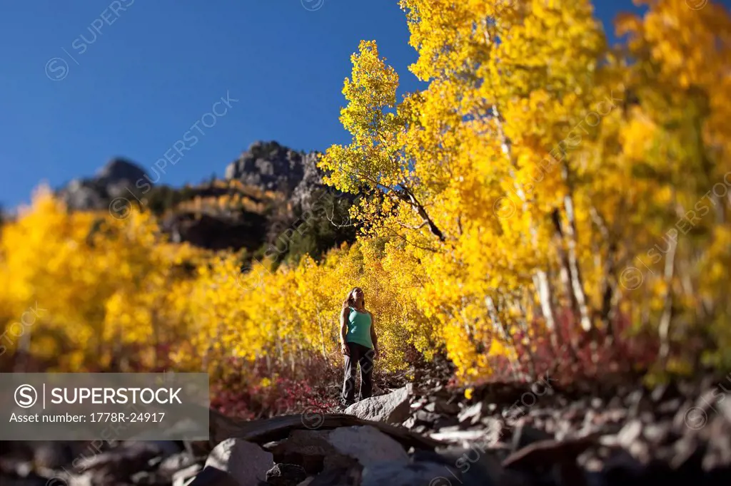 A young woman hiking stops to enjoy the amazing fall colors in Colorado.