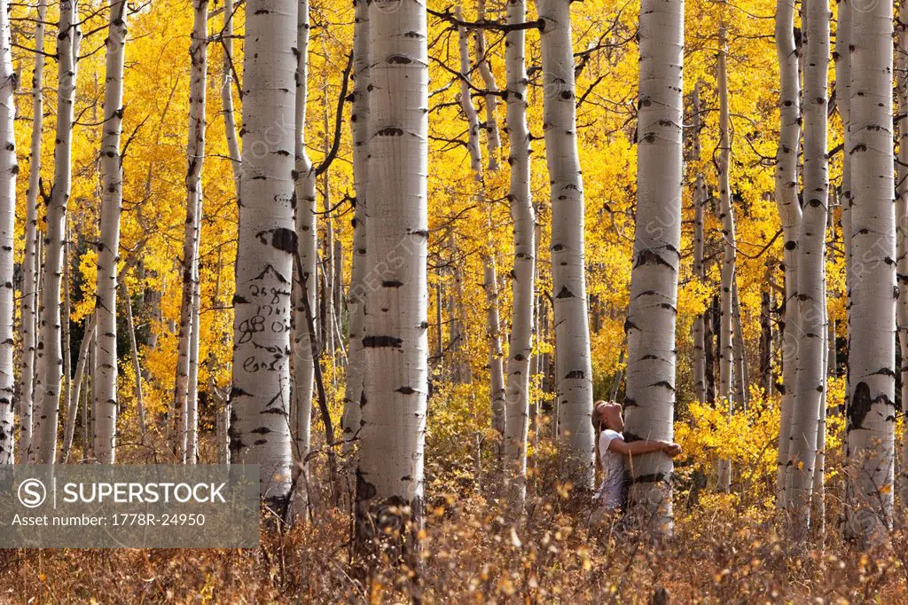 A young woman hugs a large aspen tree in the peak of the fall colors in Colorado.