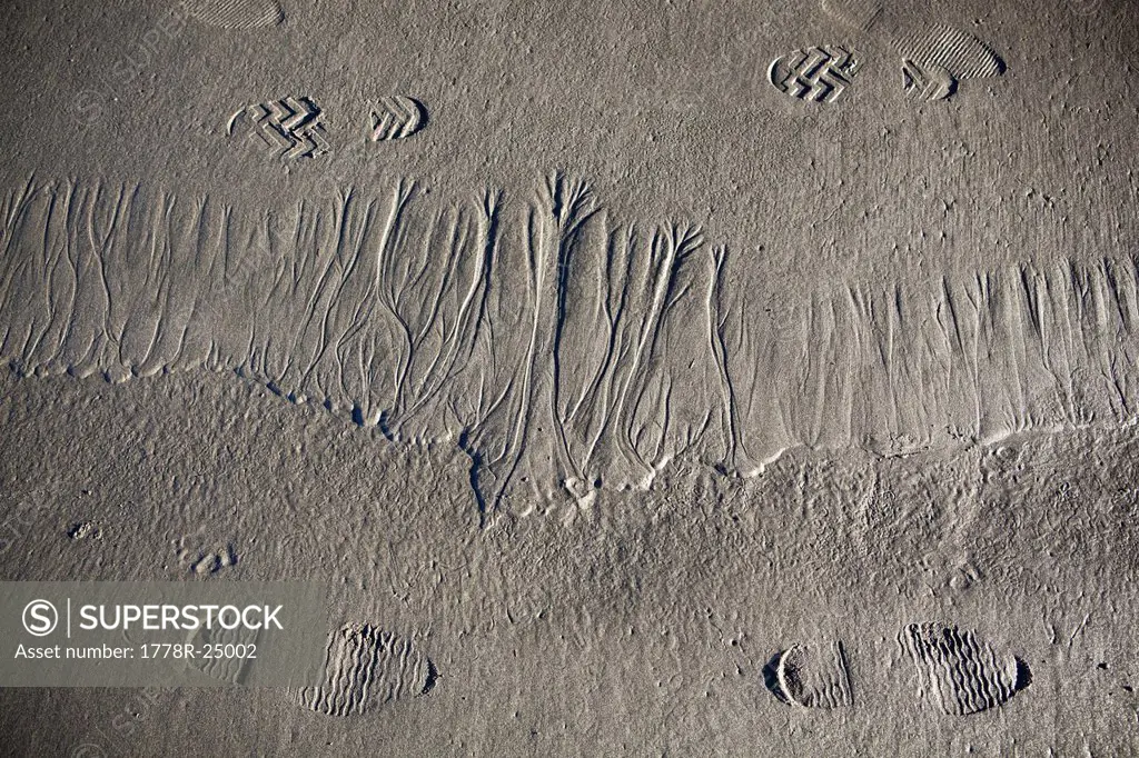 Tourist shoe prints besides intricate erosional patterns in the sand at Kalaloch Beach, Olympic National Park, Washington.