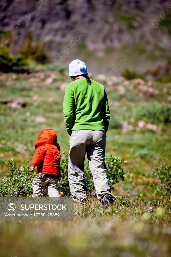 a woman walks with her 2 year old son through an alpine meadow. They are on the Continental Divide Trail CCT, trail number 813 just north of Squaw Pas...