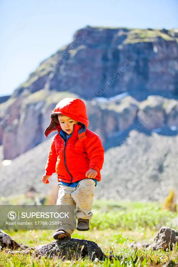 a little boy runs through an alpine meadow that is littered with wildflowers and a jagged cliff mountain rises in the background. He is on the Contine...