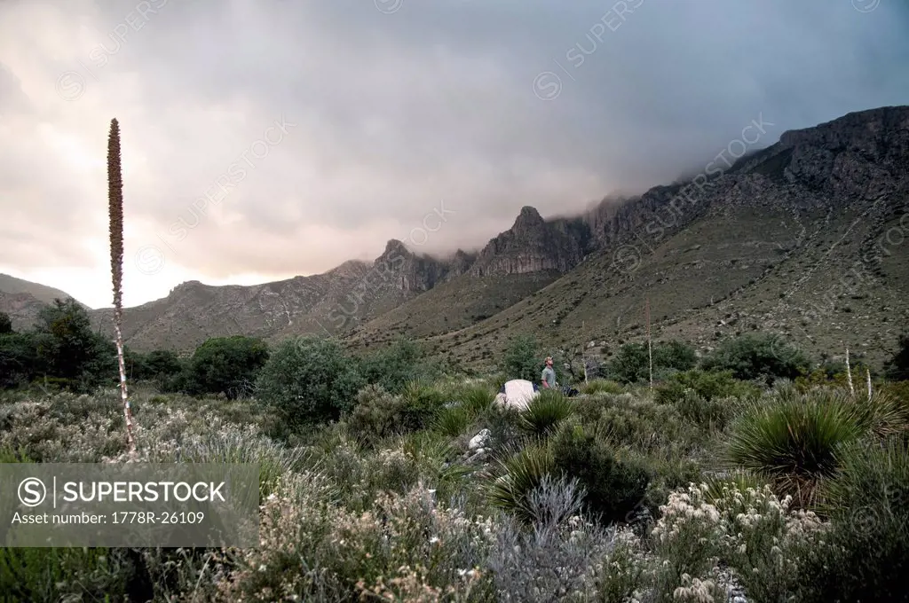A camper looks into the sky at the onset of a possible storm in Guadalupe National Park.