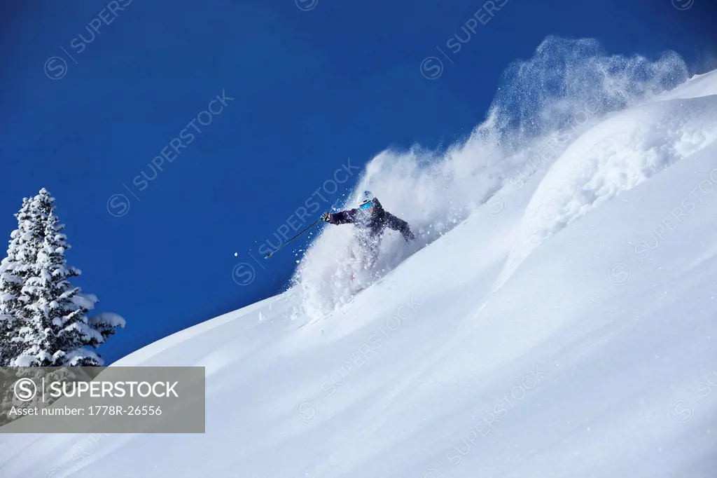 A athletic skier rips fresh deep powder turns in the backcountry on a sunny day in Colorado.