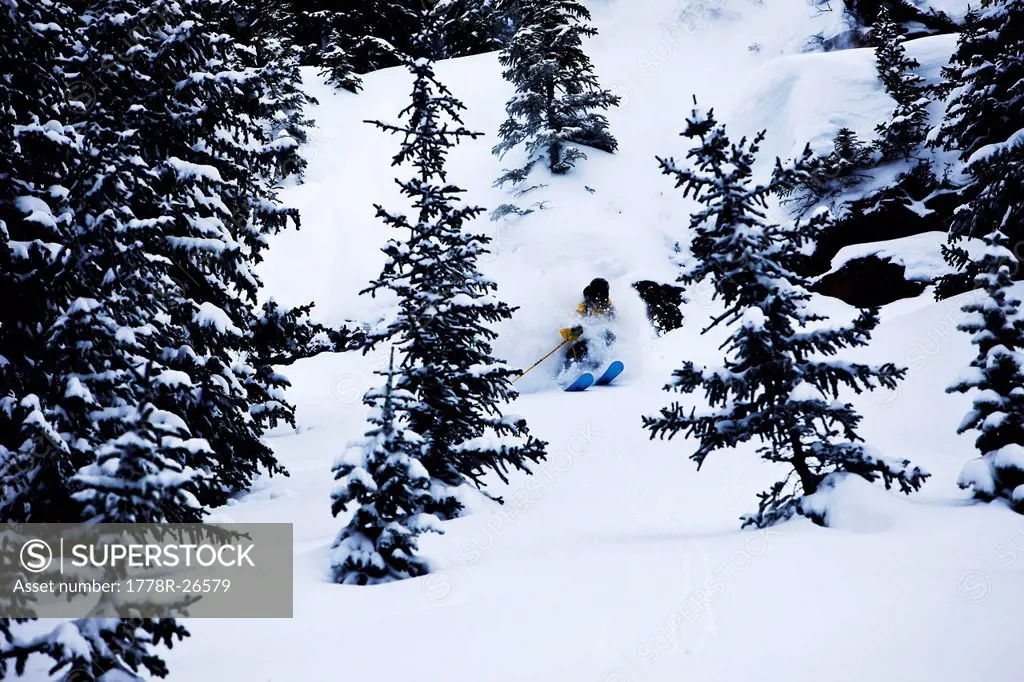 A athletic skier rips fresh deep powder turns in the backcountry on a stormy day in Colorado.