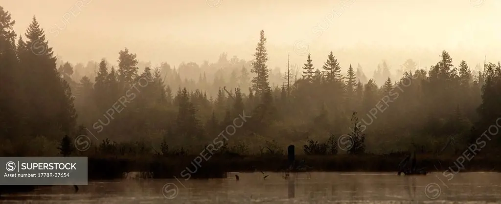 Morning mist at sunrise over the woods in northern Maine, as seen from a kayak on Spencer Pond.