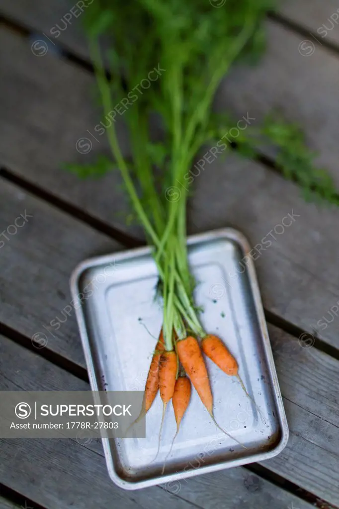 Still life of carrots.