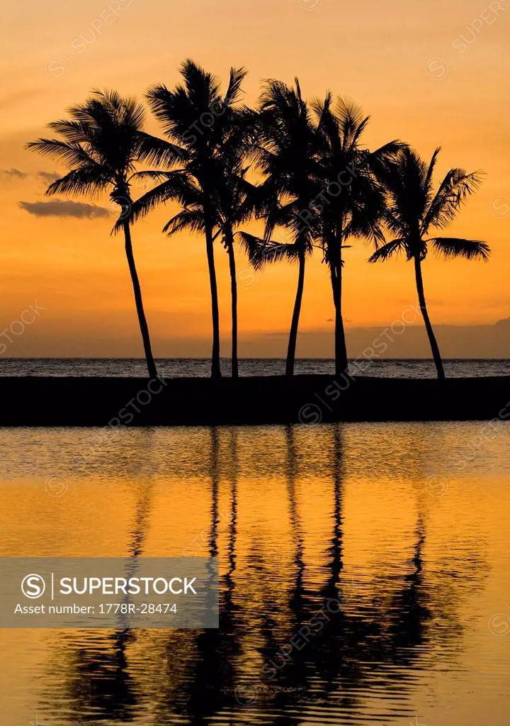 Sunset and Palm Trees reflected in Anaeho'omalu Bay, Hawaii
