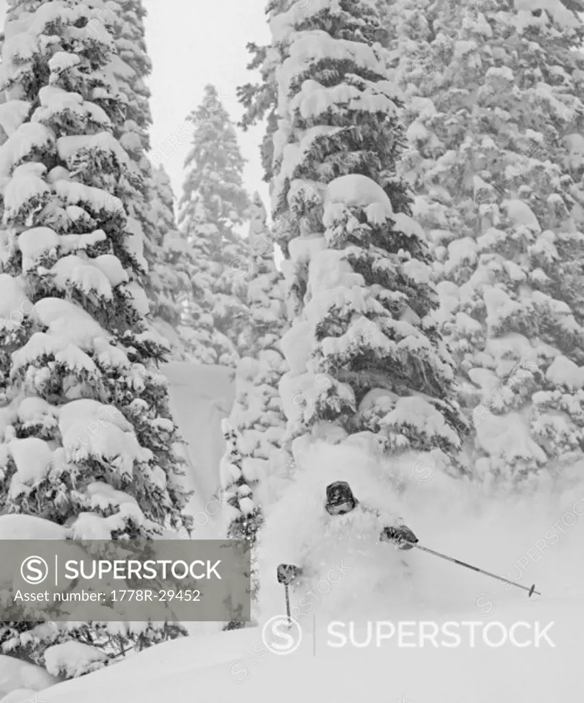 Backcountry skier going fast in deep powder in Canada.