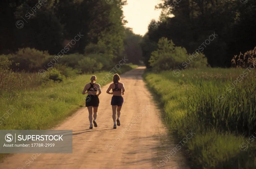 Runners jog on a country road in summer.