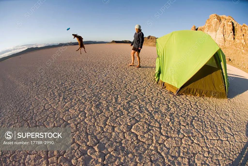 Woman and dog camp on dry lake bed.