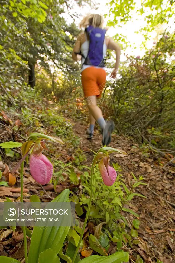 Trail runner near pink lady slippers.