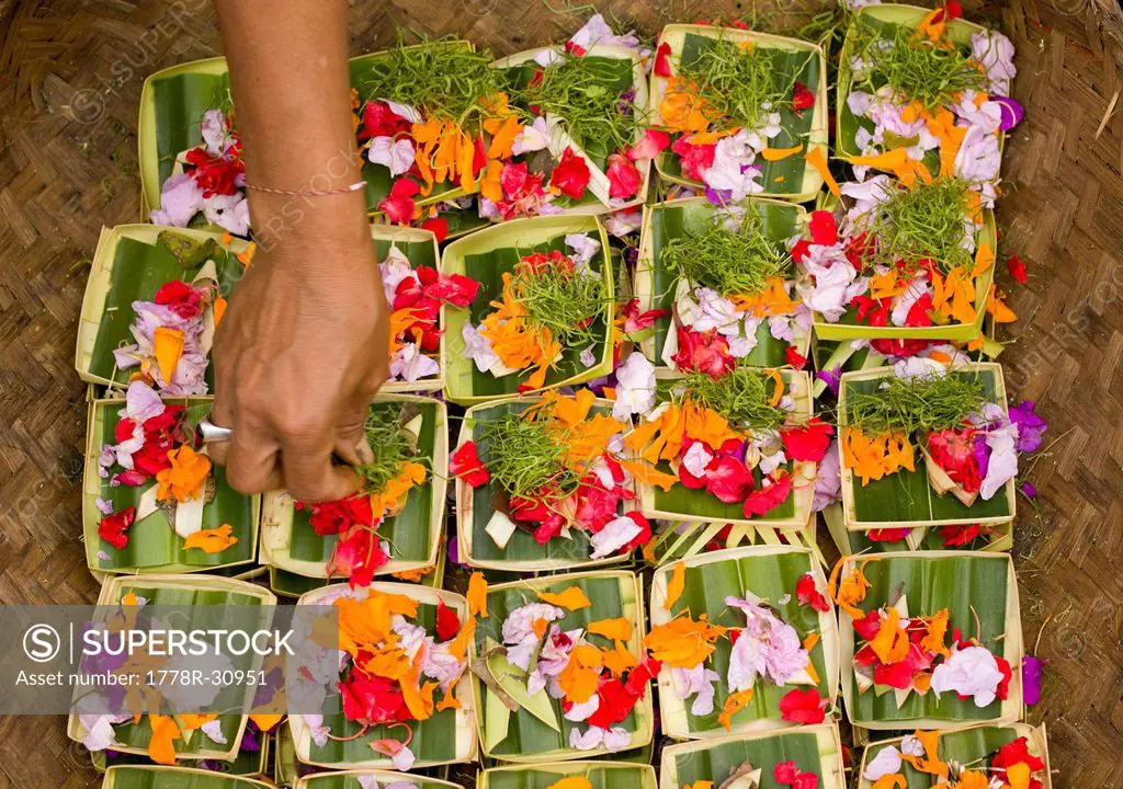 A hand adds to a small flower basket for religious offering in Ubud, Bali, Indonesia.