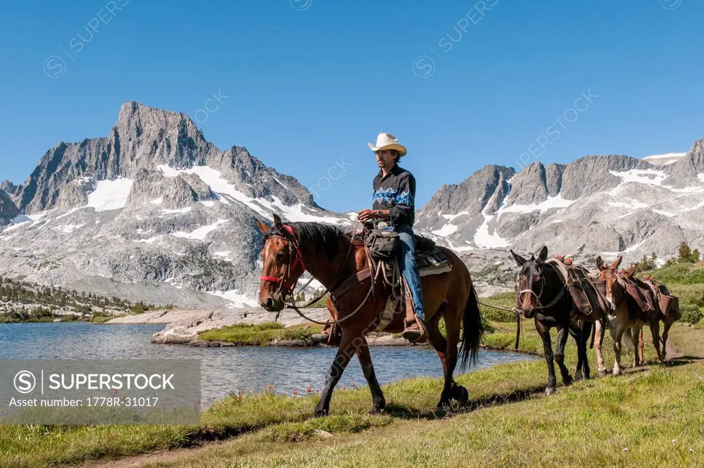 Horse paker leads pack train along lake with mountain in background