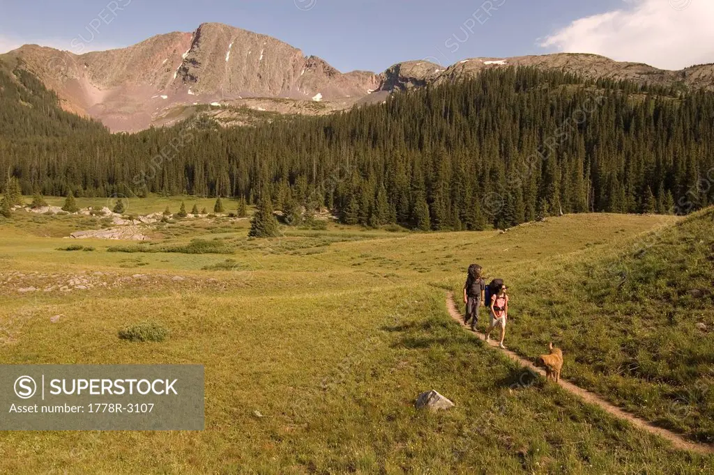 Hikers on trail in mountains.