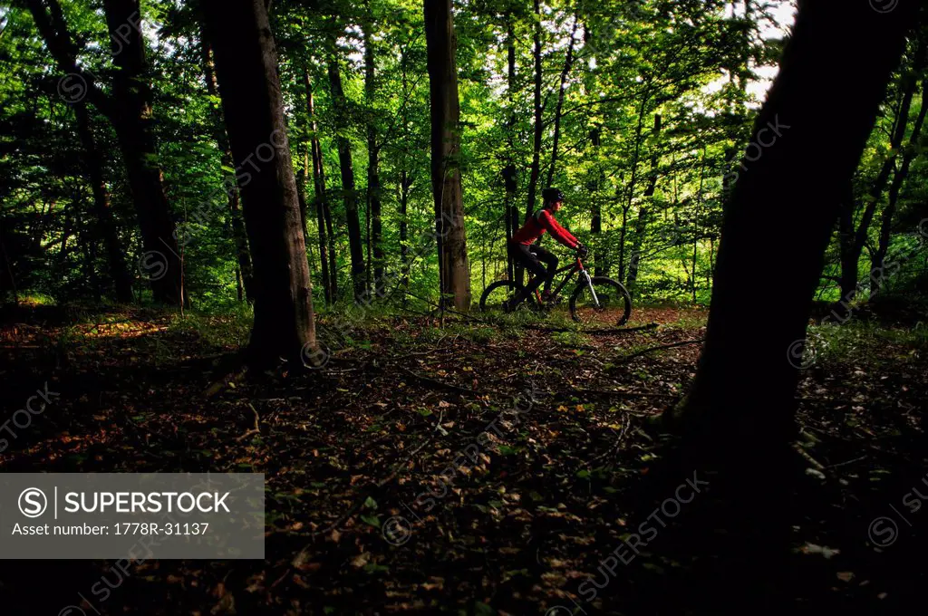 Young adult woman riding a mountaing bike in a forest, Poland.