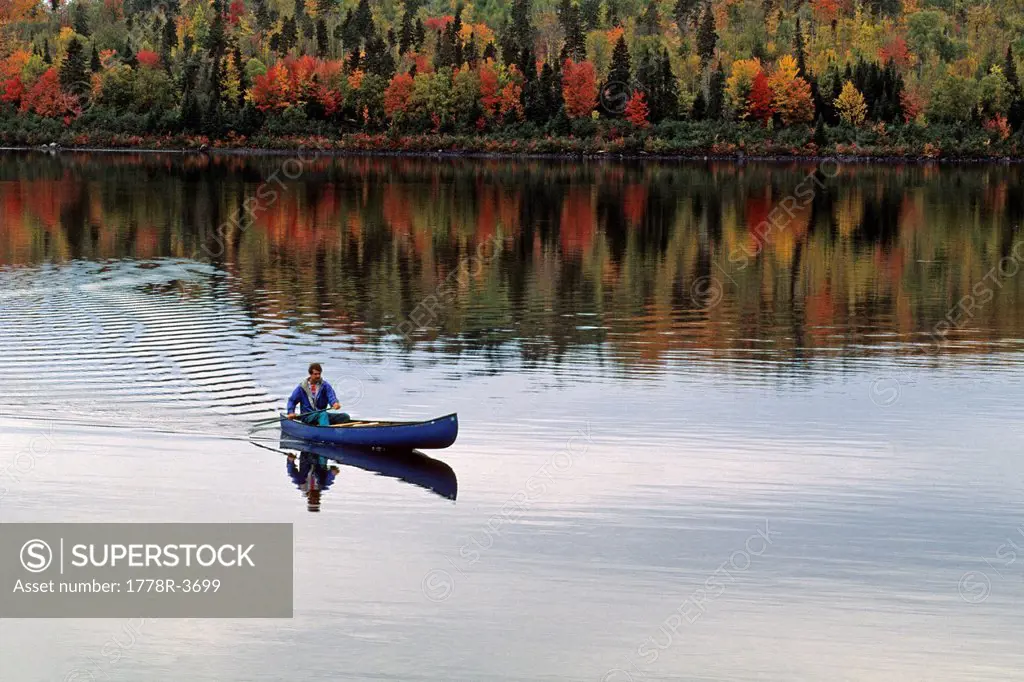 Man canoeing through fall colors.