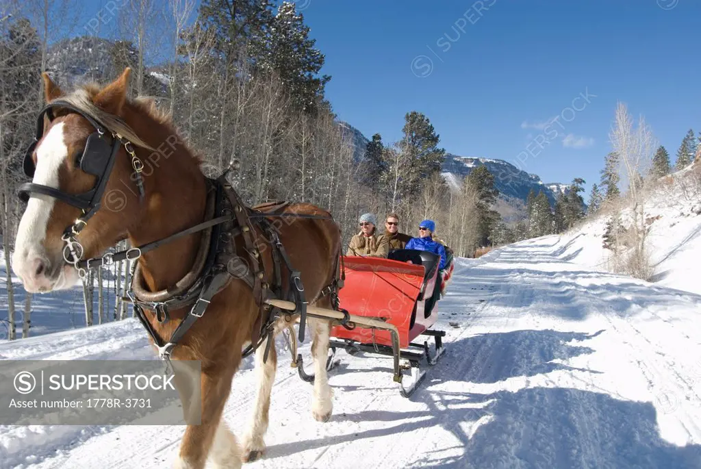 Three people riding sleigh.
