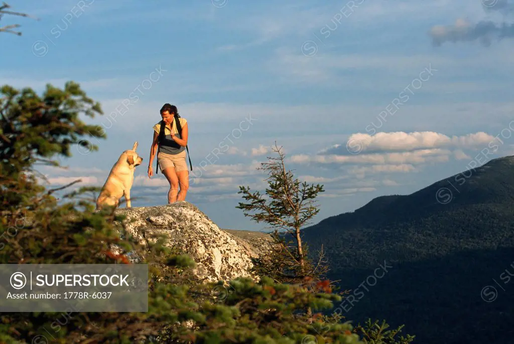A woman and a dog on a mountain top, Newry, Maine.