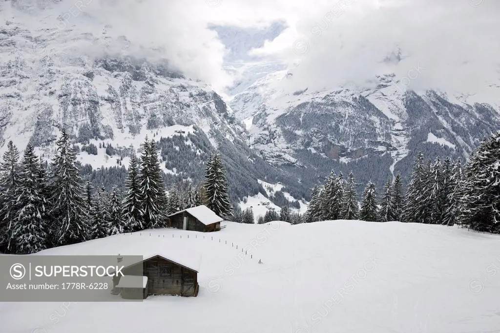 View of snow_covered alpine huts and grazing fields near Grindelwald, Jugfrau Region, Switzerland.
