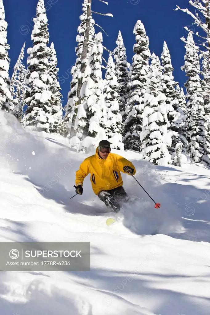 A man skis in deep fresh powder at Fernie Alpine Resort, Fernie, British Columbia, Canada.