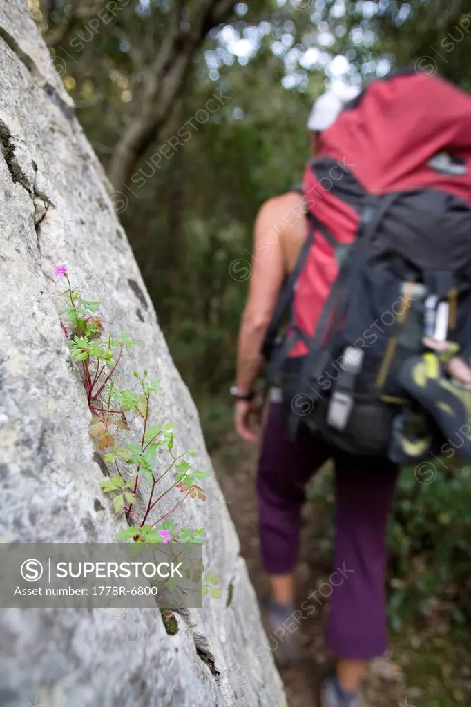 Woman hiker, Surtana valley, Sardinia, Italy.