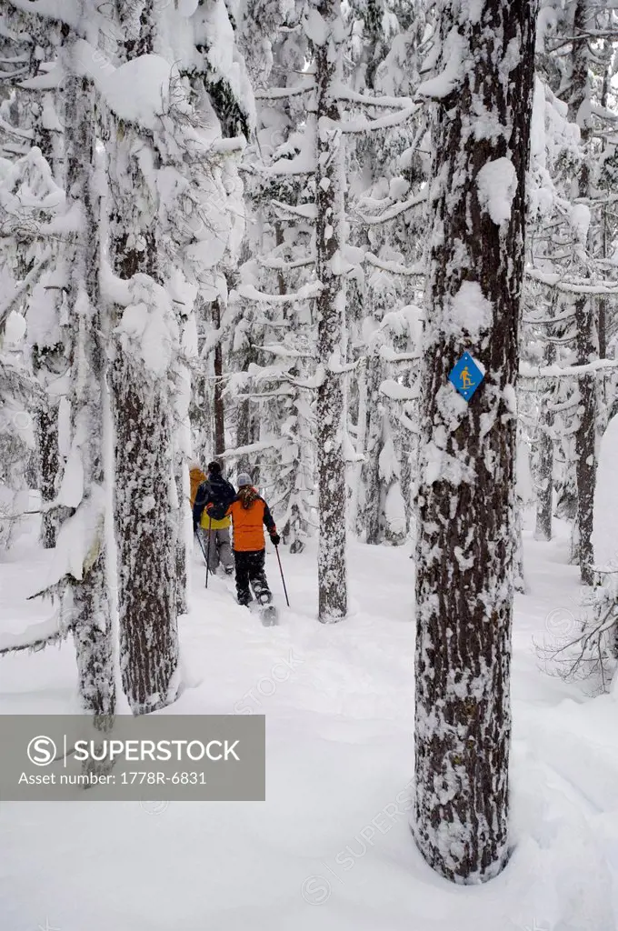 Rear view of three adults in snowshoes hiking through deep powder in a forest in Bend, Oregon.