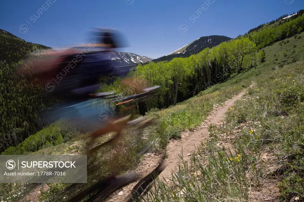 Blurred mountain biker in the Abajo mountains near Montecello, Utah.