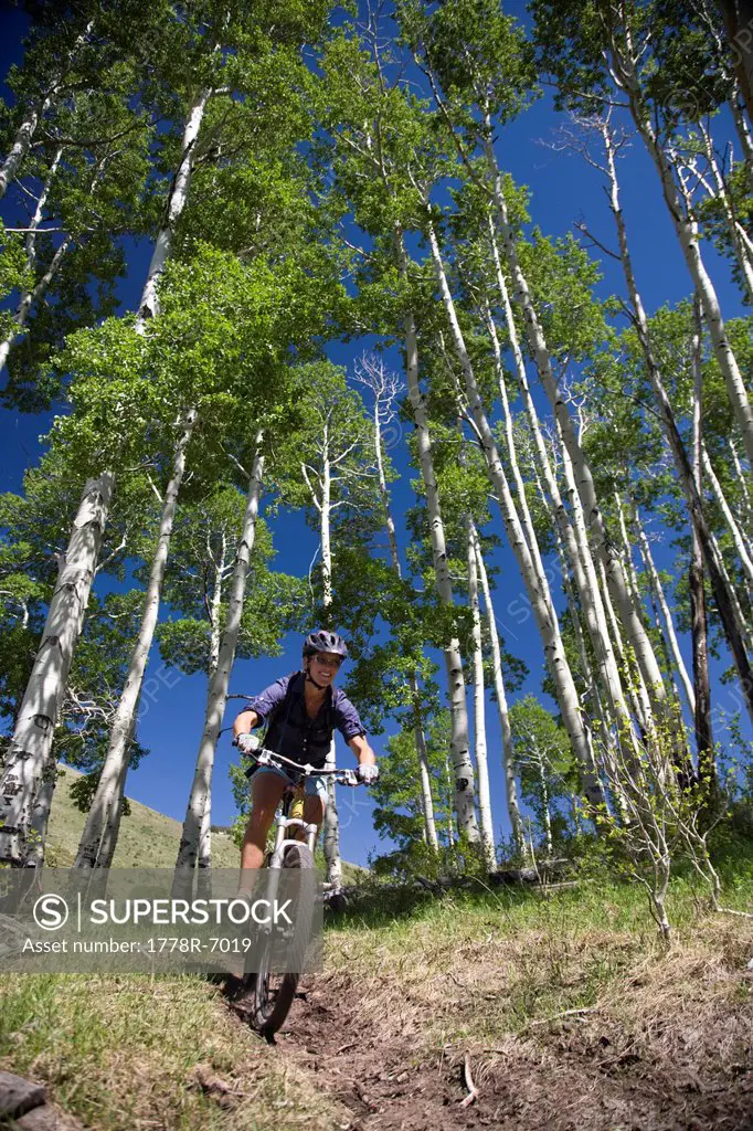 Woman mountain biking on trail in Aspen tree forest in the Abajo mountains near Montecello, Utah.