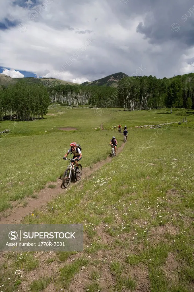 A group of mountain bikers riding on a trail in the Abajo Mountains near Montecello, Utah.
