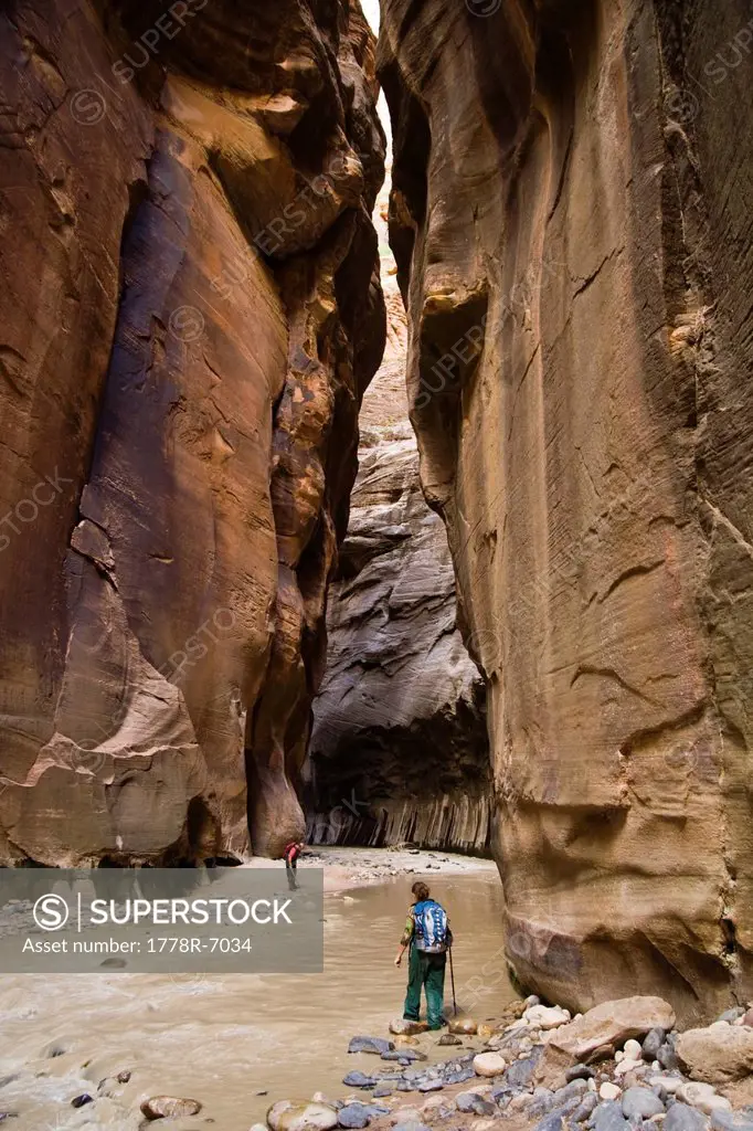 Two hikers wade up the Zion Narrows, Zion National Park, Utah.