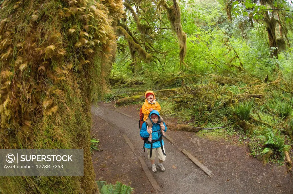 A daughter riding on her mother´s shoulders while backpacking in a rainforest, Olympic National Forest, Hoh, Washington.