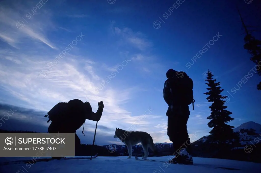 Twilight backcountry skiing with a husky dog in the San Juan Mountains of southwest Colorado.