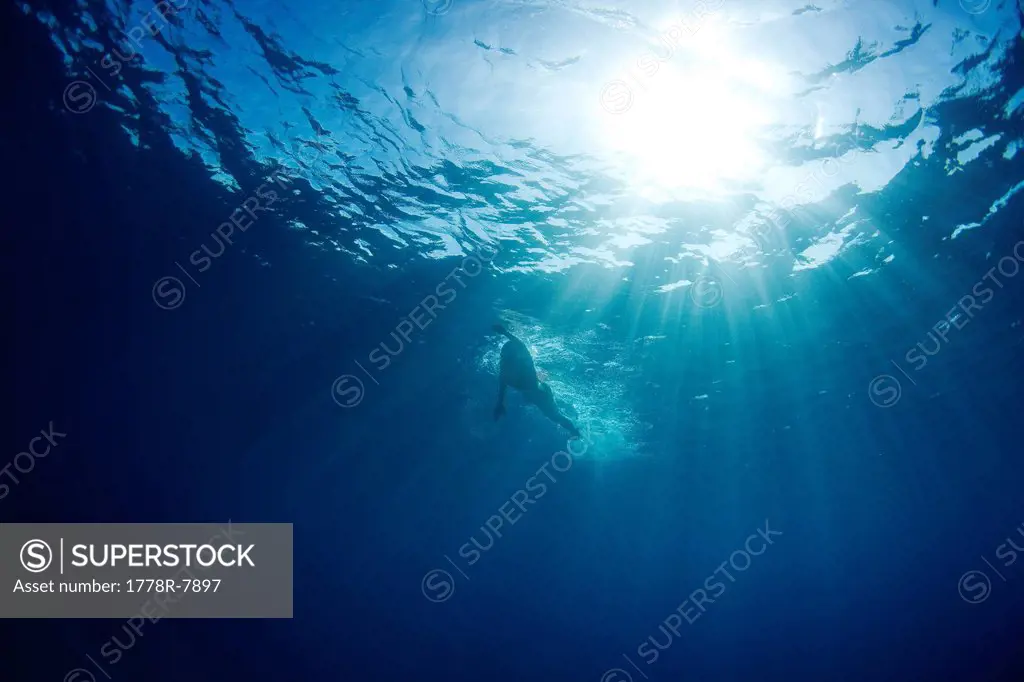 Underwater view of a swimmer enjoying a relaxing swim in the tropical waters off of Mana Island, Fiji.
